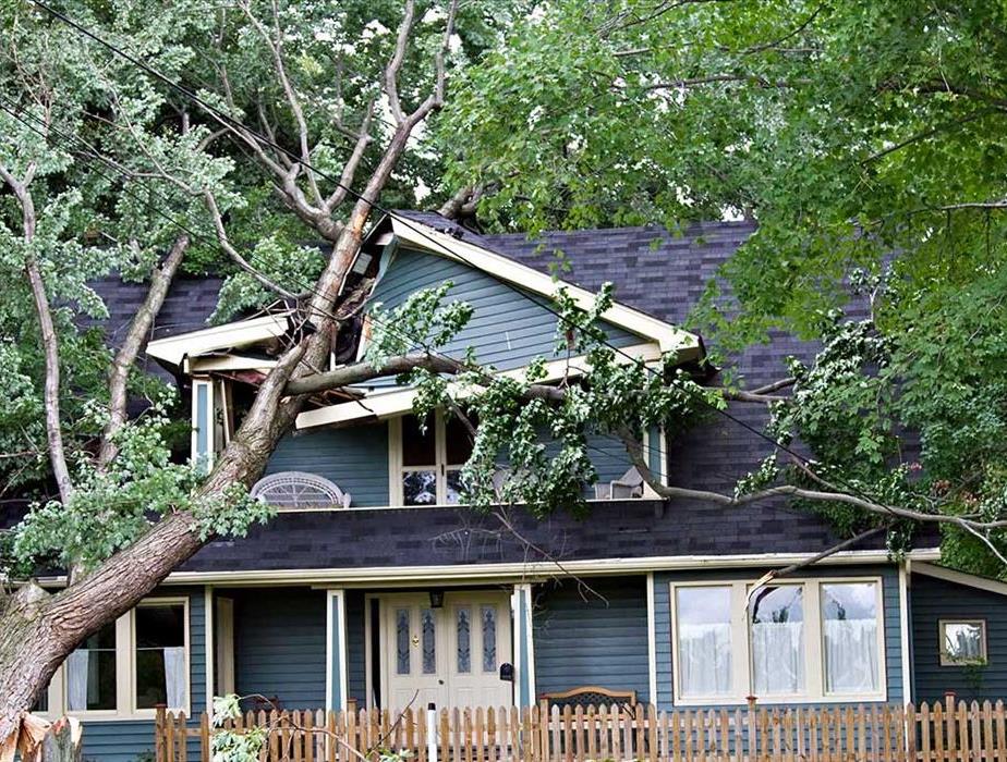 Tree on Rood - Storm Damage